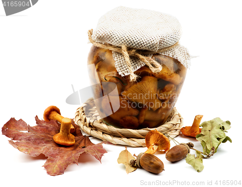 Image of Pickled Chanterelle Mushrooms