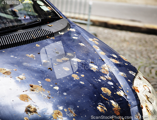 Image of hood of car with lot of bird droppings, bad parking concept