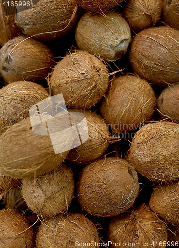 Image of close up of coconuts