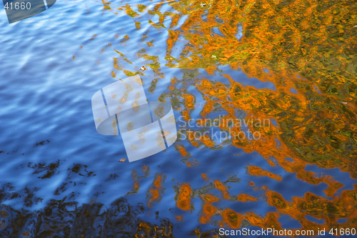 Image of Sky and leaves reflected in the water surface like a natural abstract paint