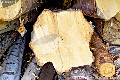 Image of Logs birch