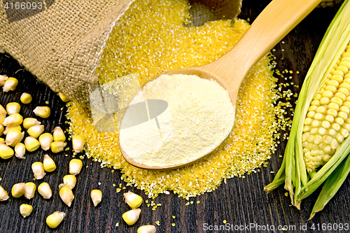 Image of Flour corn in spoon with grains on dark board