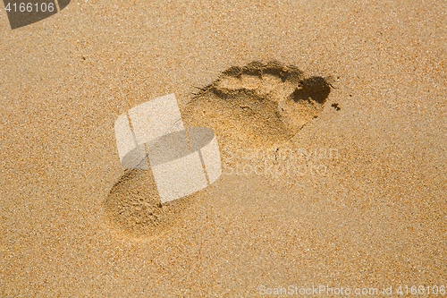 Image of Footsteps in Sand