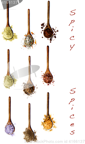 Image of Collection of Spices with Inscription