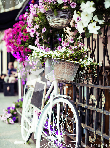 Image of flower in basket of vintage bicycle on vintage wooden house wall