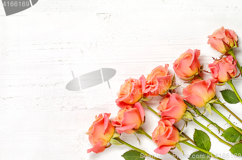 Image of pink roses on white wood background