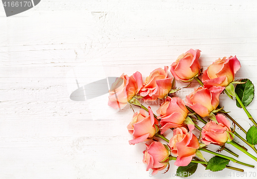 Image of pink roses on white wood background