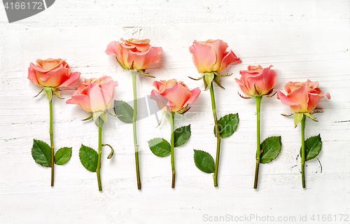 Image of pink roses on white wood background