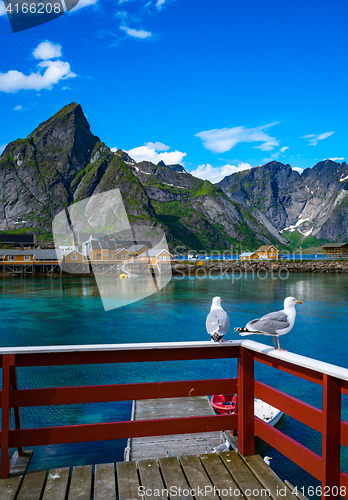 Image of Lofoten archipelago islands islands Norway