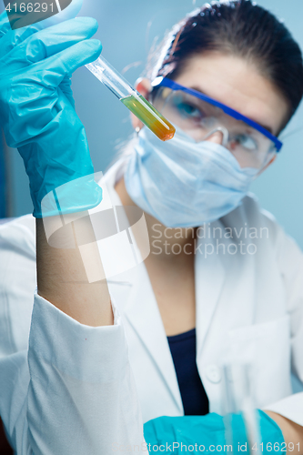 Image of Young scholar with test tubes