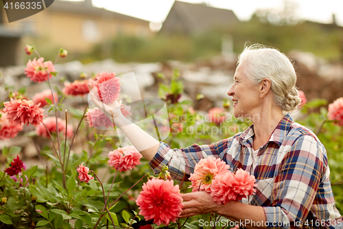 Image of senior woman with flowers at summer garden