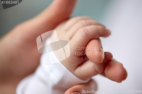 Image of close up of mother and newborn baby hands