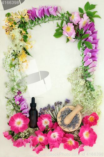 Image of Herbal Medicine Flower Border