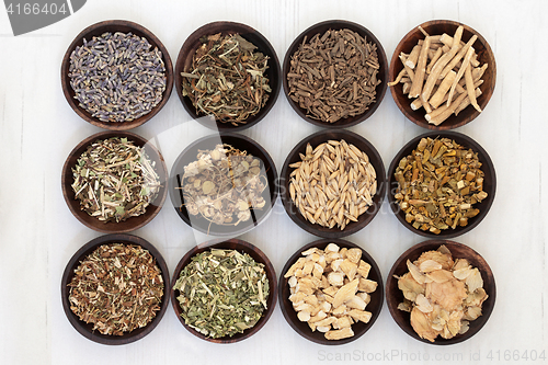 Image of Herbs for Anxiety and Sleeping Disorders