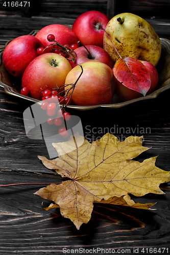 Image of Copper tray with apples