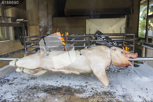 Image of Roasting suckling pig on the broach in the coals