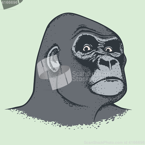 Image of Vector Monkey Concept