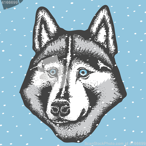 Image of Vector siberian husky