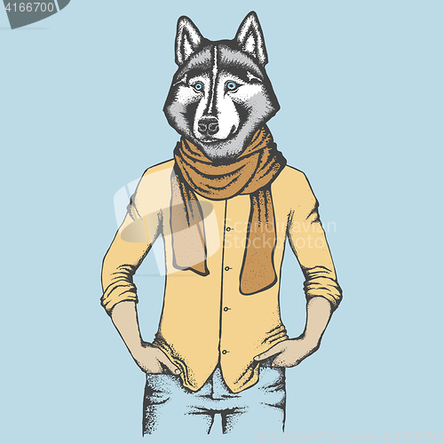 Image of Husky in human shirt