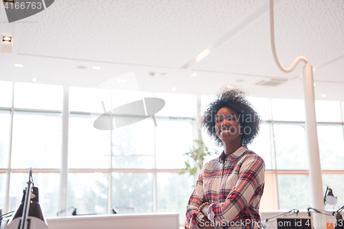 Image of Portrait of a young black  casual business woman