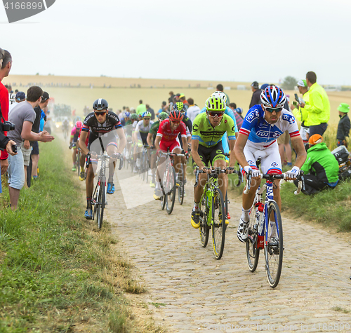 Image of The Peloton on a Cobblestone Road - Tour de France 2015