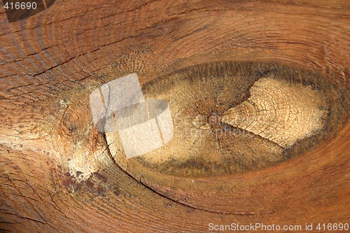 Image of Notty Wood