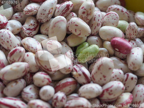 Image of Crimson beans legumes vegetables