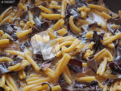 Image of Paccheri pasta with mushrooms