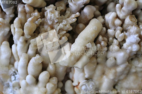 Image of calcite mineral texture