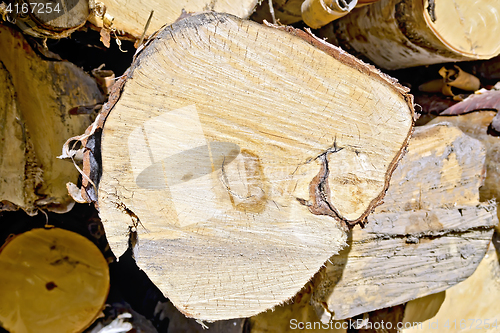 Image of End of birch logs