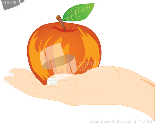 Image of Red apple on palm