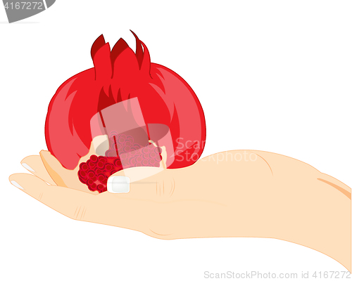 Image of Fruit garnet in palm