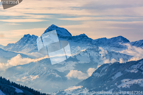 Image of Winter Landscape