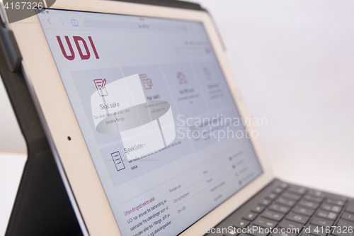 Image of UDI on iPad