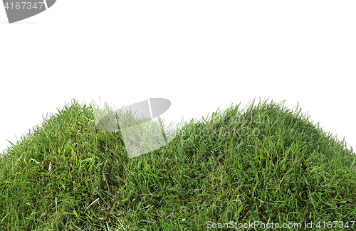 Image of Simple Grassy Hill Cutout