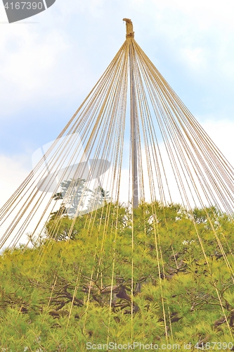 Image of Yukitsuri tree branch support in Kenroku-en garden