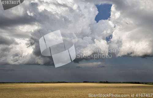 Image of Storm Clouds Saskatchewan