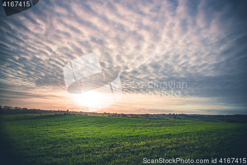 Image of Rural landscape with green fields