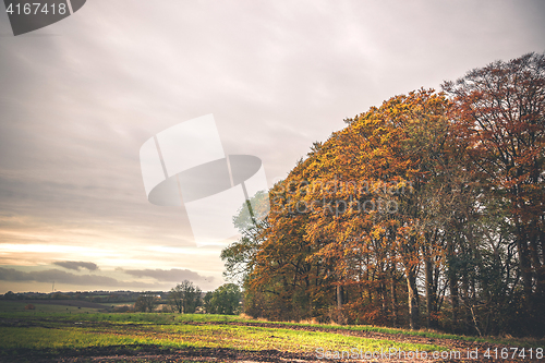 Image of Countryside landscape in the autumn season