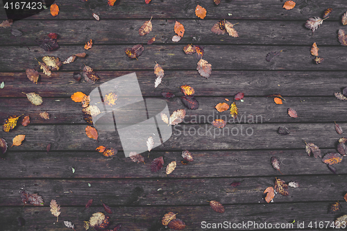 Image of Autumn leaves on a wooden background