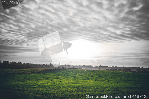 Image of Countryside sunrise with green fields