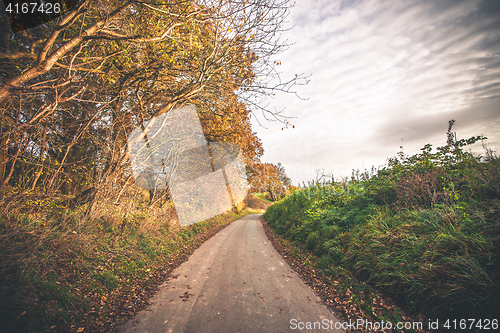 Image of Autumn landscape with a road