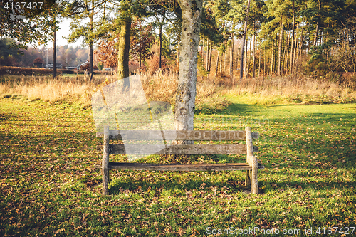 Image of Empty bench in a park in the fall