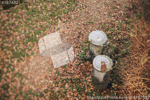 Image of Two garbage cans in a park