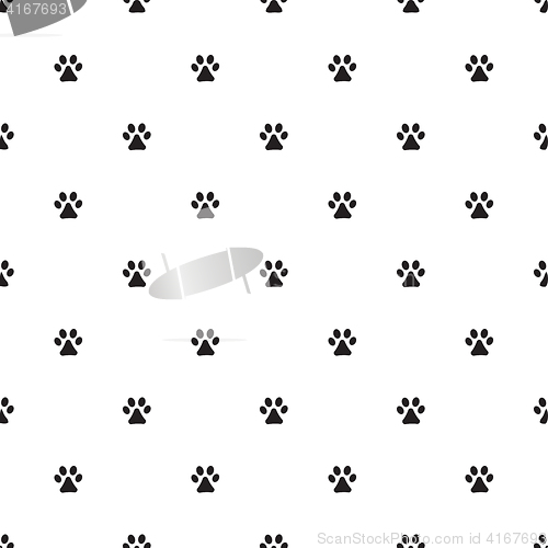 Image of Animal\'s footprint pattern