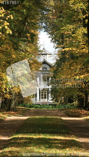 Image of shaded walkway to the house in the autumn