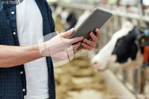 Image of man with tablet pc and cows on dairy farm