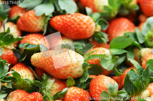 Image of Fresh ripe strawberry