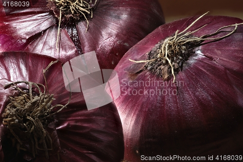 Image of bulbs are red onion unpeeled