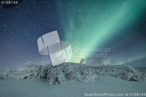 Image of Aurora borealis in Iceland